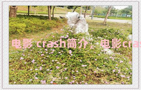 电影 crash简介，电影crash剧情介绍